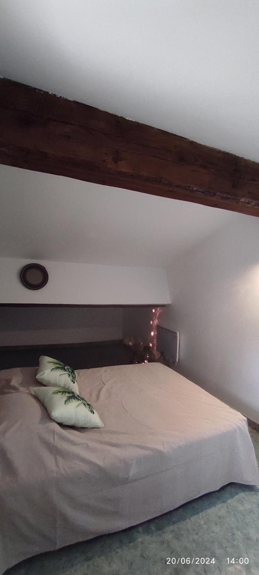 Sous Les Toits Apartment Narbonne Luaran gambar